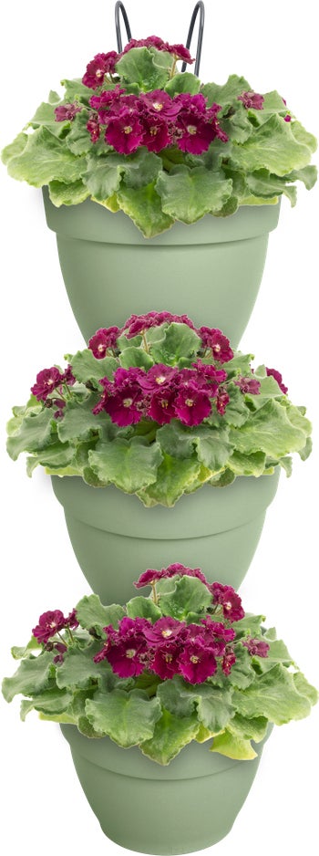 Elho plantenbak voor verticale tuin Vibia Campana Vertical Forest groen 20,7 x 17,1 x 29,7 cm
