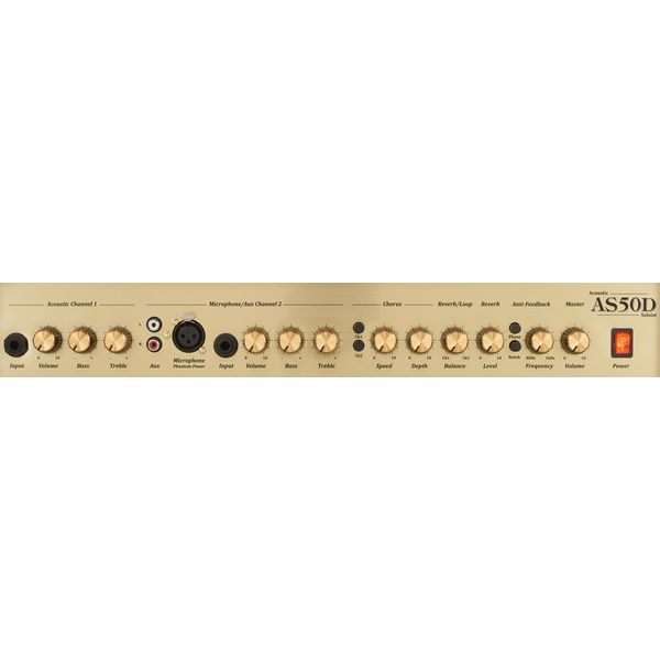 Marshall AS50D Akustik Gitarren Combo