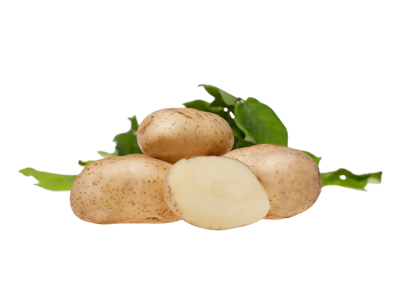 Potato Solist 2,5 kg Settepotet 'Solist' 2,5 kg