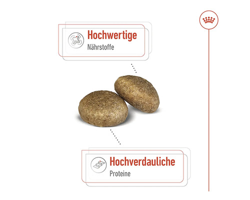 ROYAL CANIN Maxi Adult droog hondenvoer 15 kg