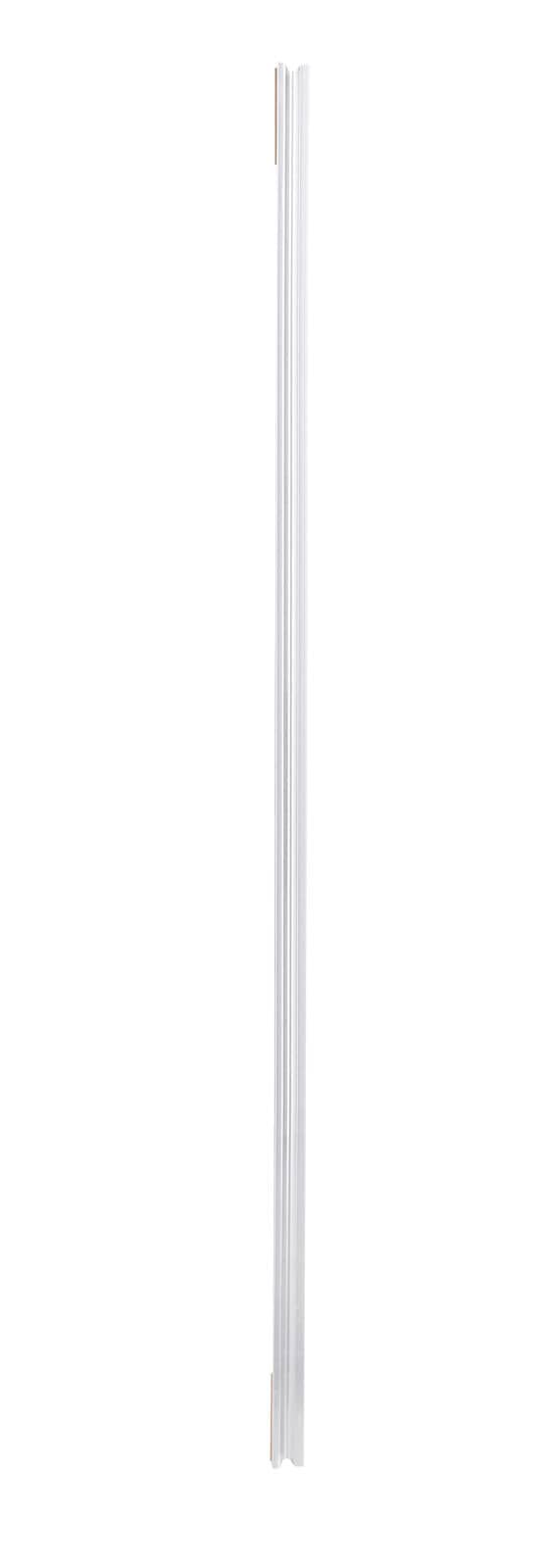 Wandspiegel TANJA 50 x 150 cm silberfarbig