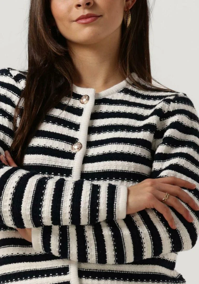 NEO NOIR donkerblauwe neo noir vest limone stripe knit jacket