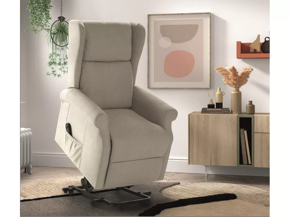 Fauteuil de relaxation et releveur électrique 2 moteurs tissu Agora-Couleur Gris foncé