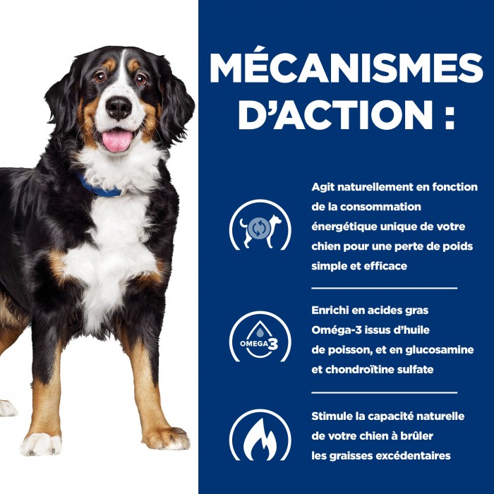 HILL'S Prescription Diet j/d Metabolic+Mobility en Boîtes au Poulet – Pâtée pour chien