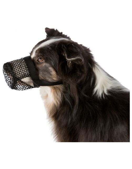Trixie Anti-Lokaas-Snuitje - Hondenopvoeding - 22-52 cm Zwart L