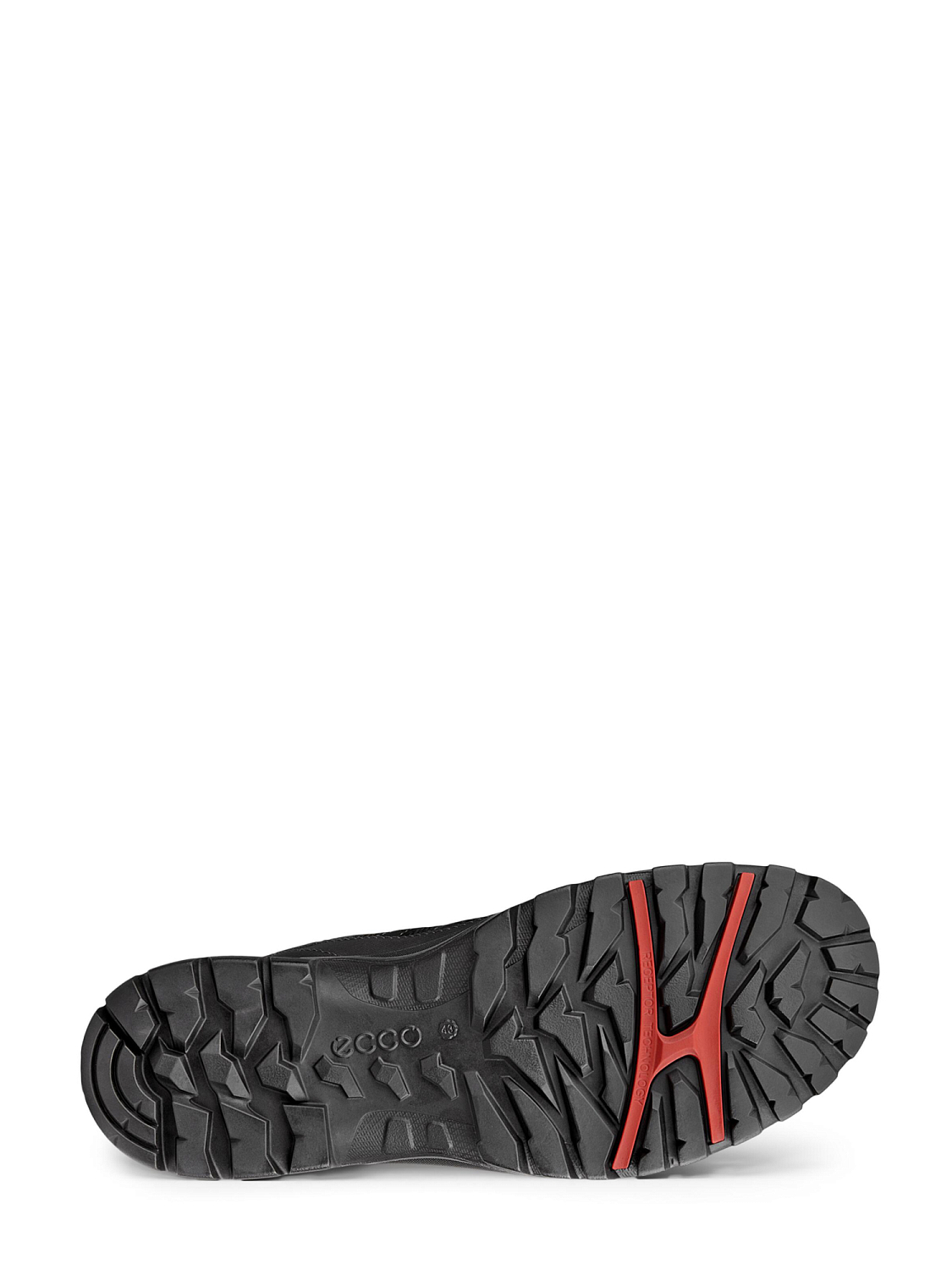 Ecco Xpedition III