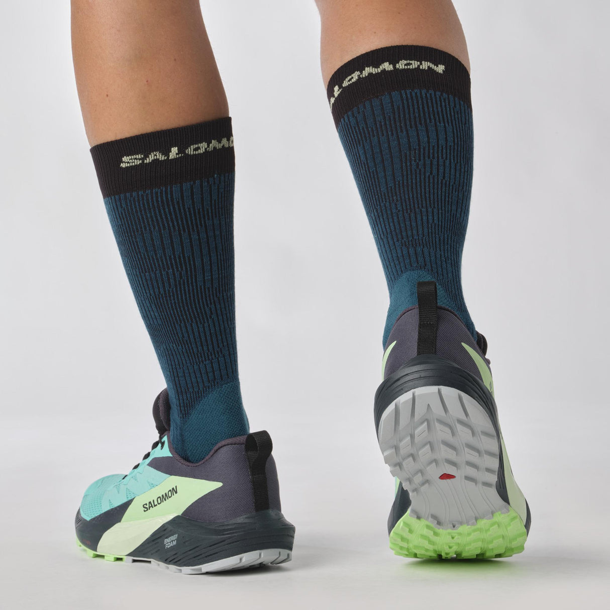 Salomon<br>Sense Ride 5 GTX W
