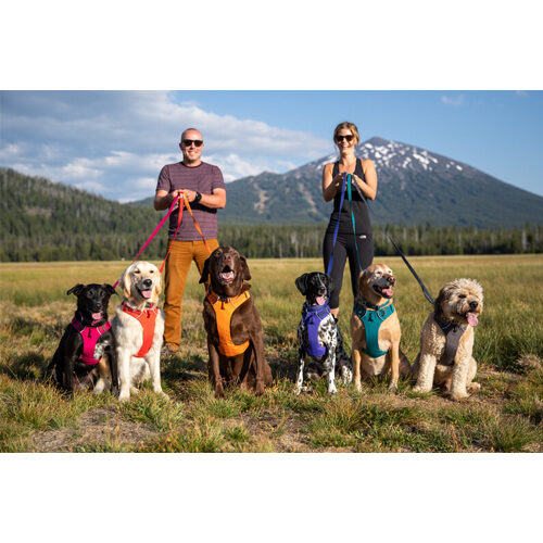 Ruffwear Front Range Harness