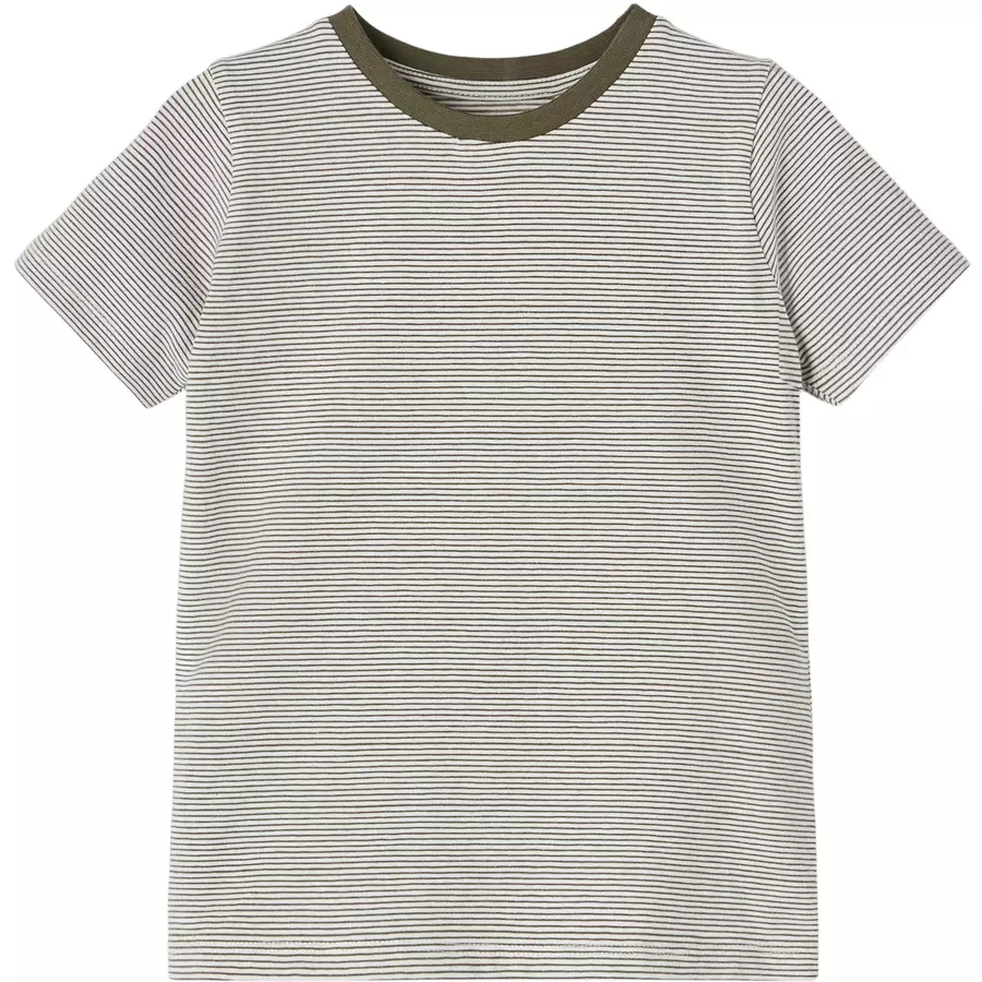 name it T-Shirt Nmmfrej White Alyssum