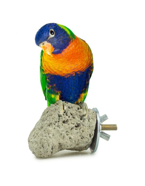 Back Zoo Nature Java Lava Stone - Vogelaccessoires - ca. 8x8 cm