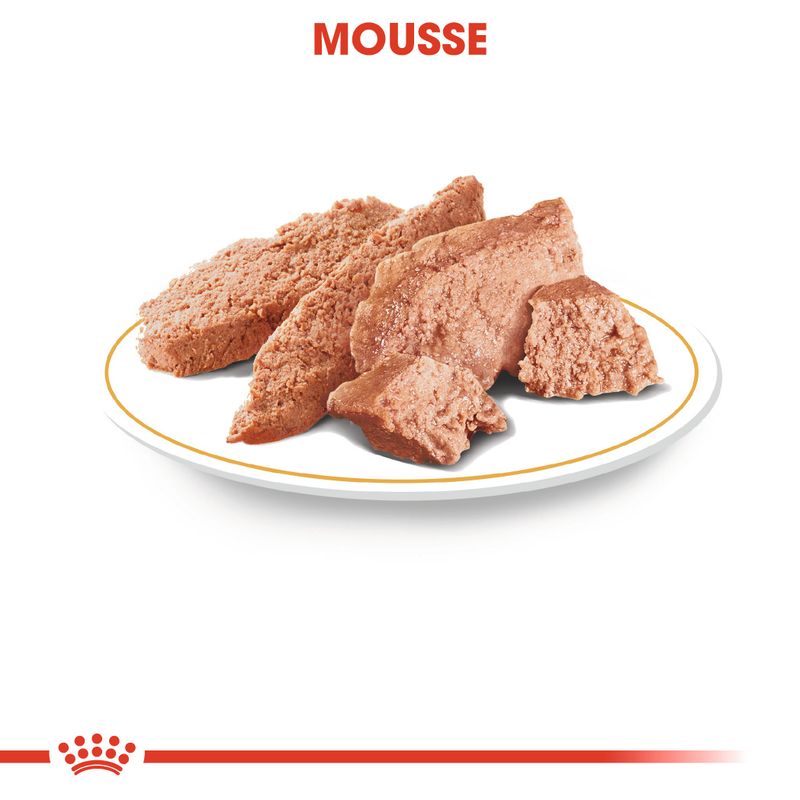 Royal Canin Yorkshire Terrier Adult en mousse
