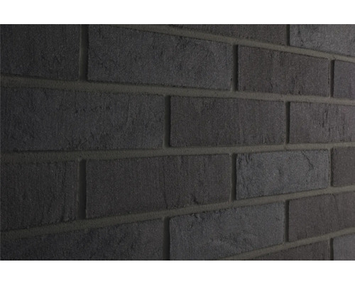 Elabrick gevelsteen Bergen 24 x 7,1 cm Buiten