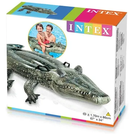 Intex RideOn 