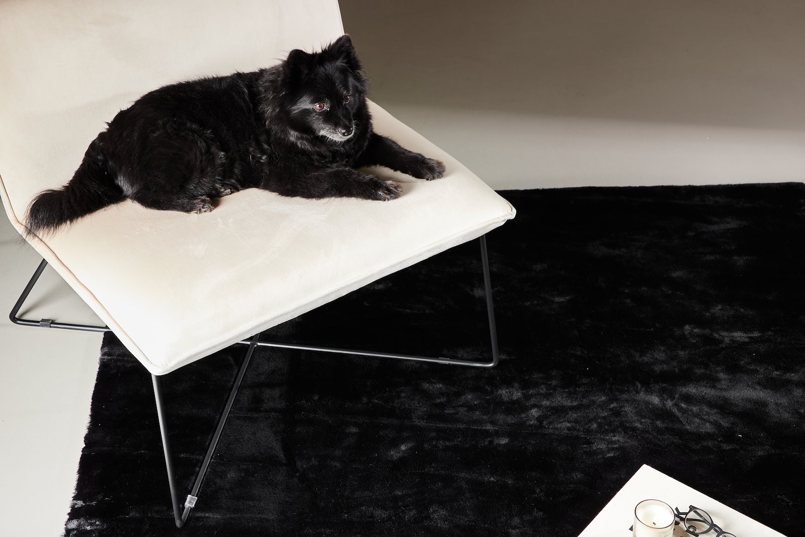 Nina gulvteppe Teppe 200x300, sort