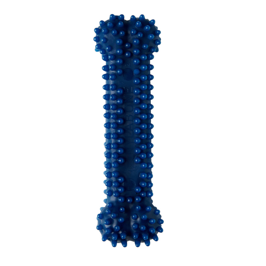 Osso mastigável dental Nylabone para cães