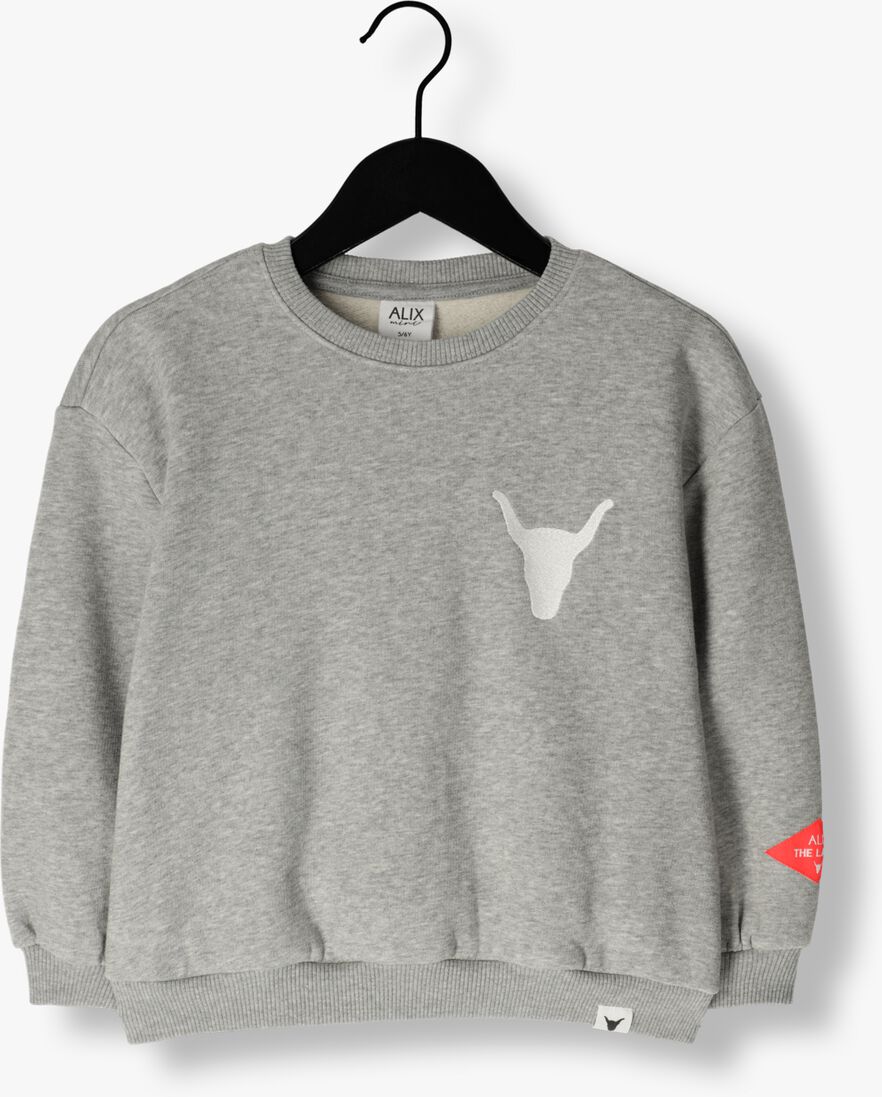 ALIX MINI grijze alix mini sweater knitted bull sweater