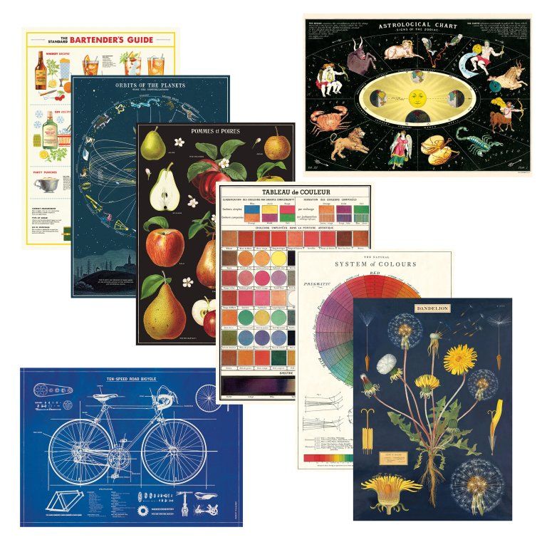 Cavallini Geschenkpapier/Poster