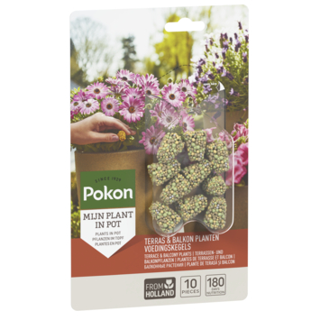 Pokon terras & balkon planten voedingskegels 10 stuks
