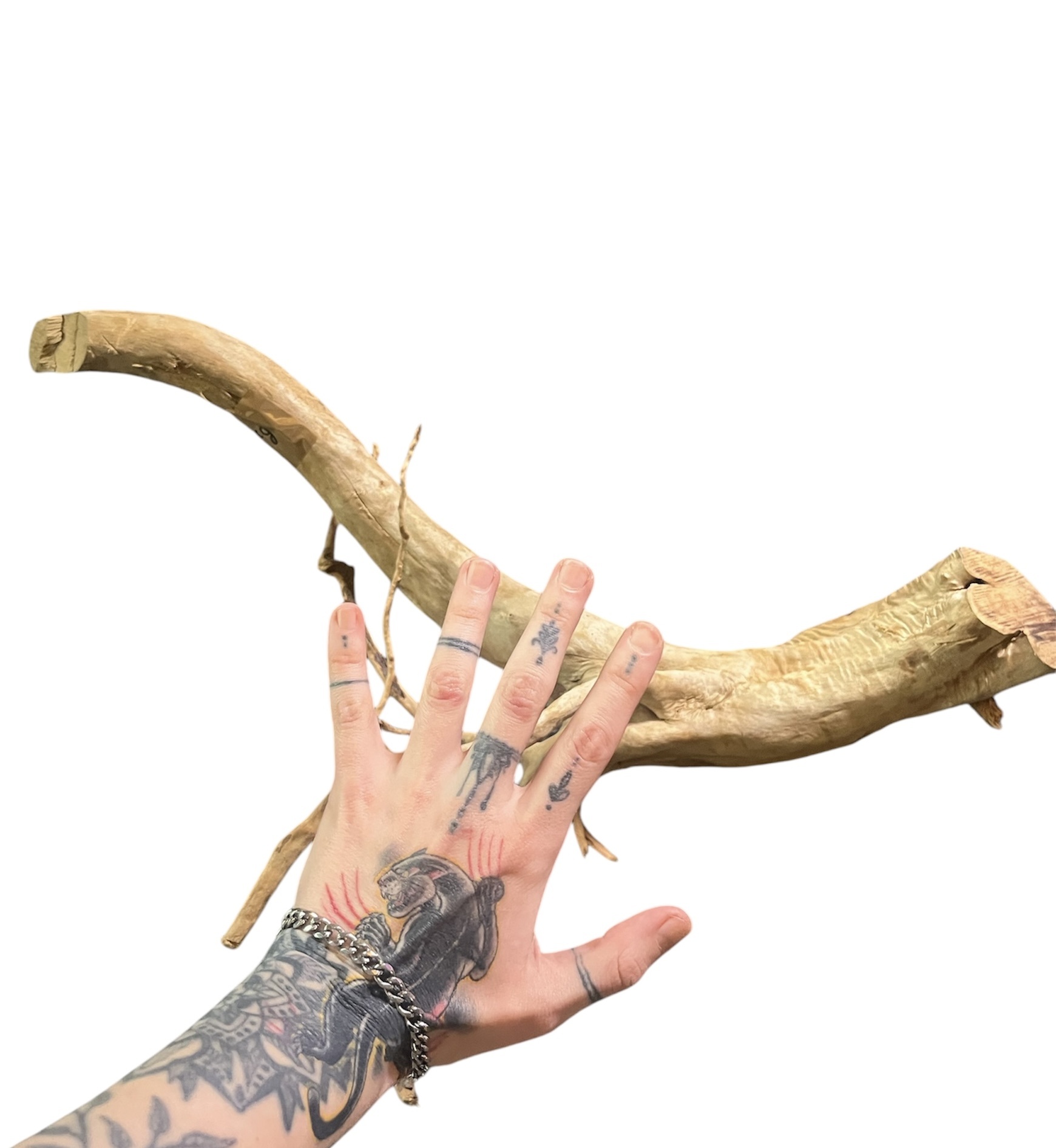 AquastoreXLBoomstronk XXL 50 - 80 cm 1,35kg - NR20 | natuurlijk hout