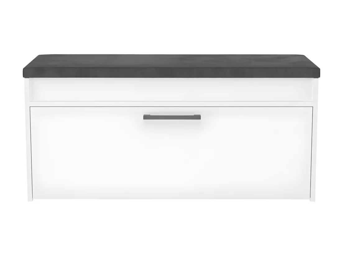 PARMI - Meuble à chaussures style scandinave entrée - 100x35x49 - Banc avec rangement
