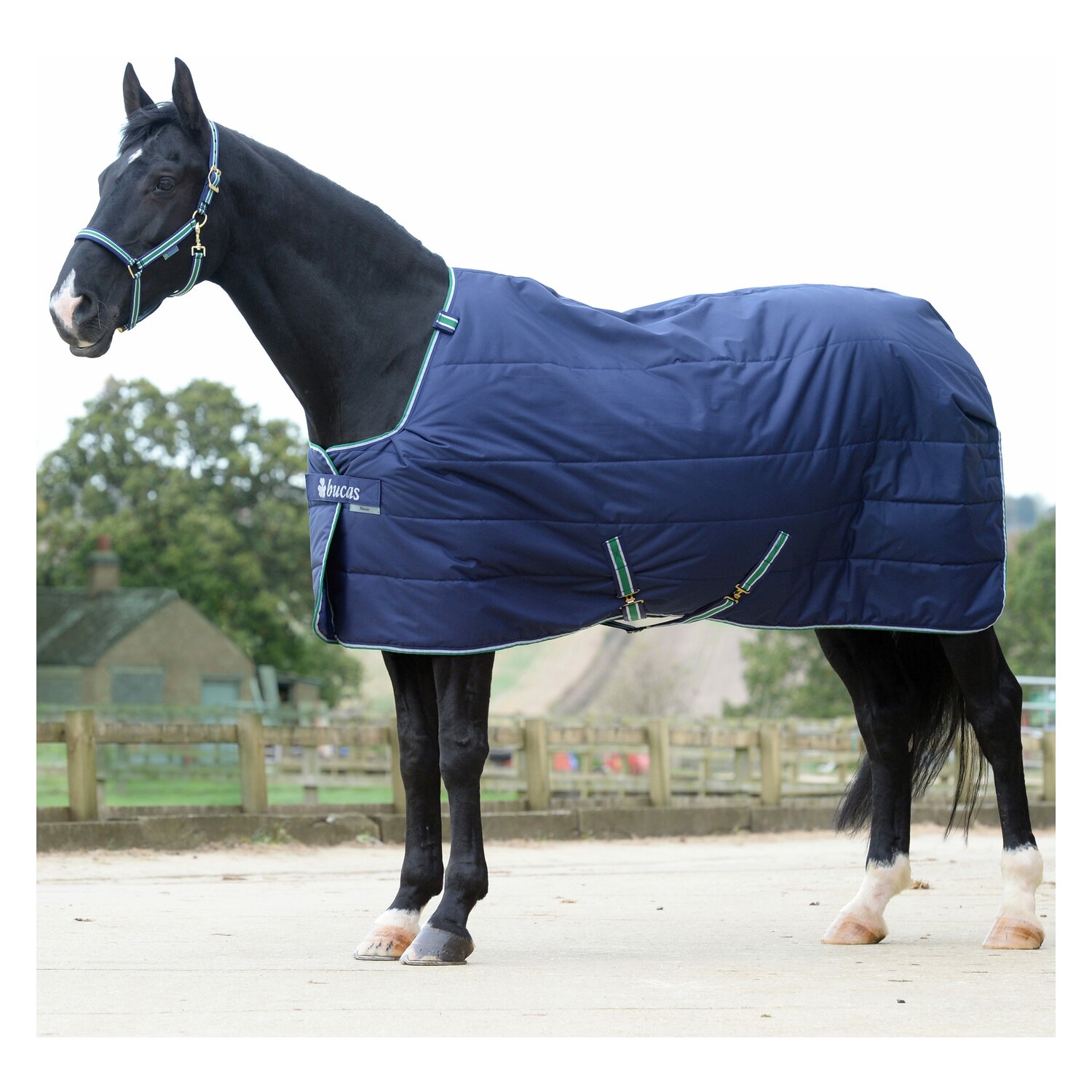 bucas Stalldecke Quilt 150g Stay-Dry - blue