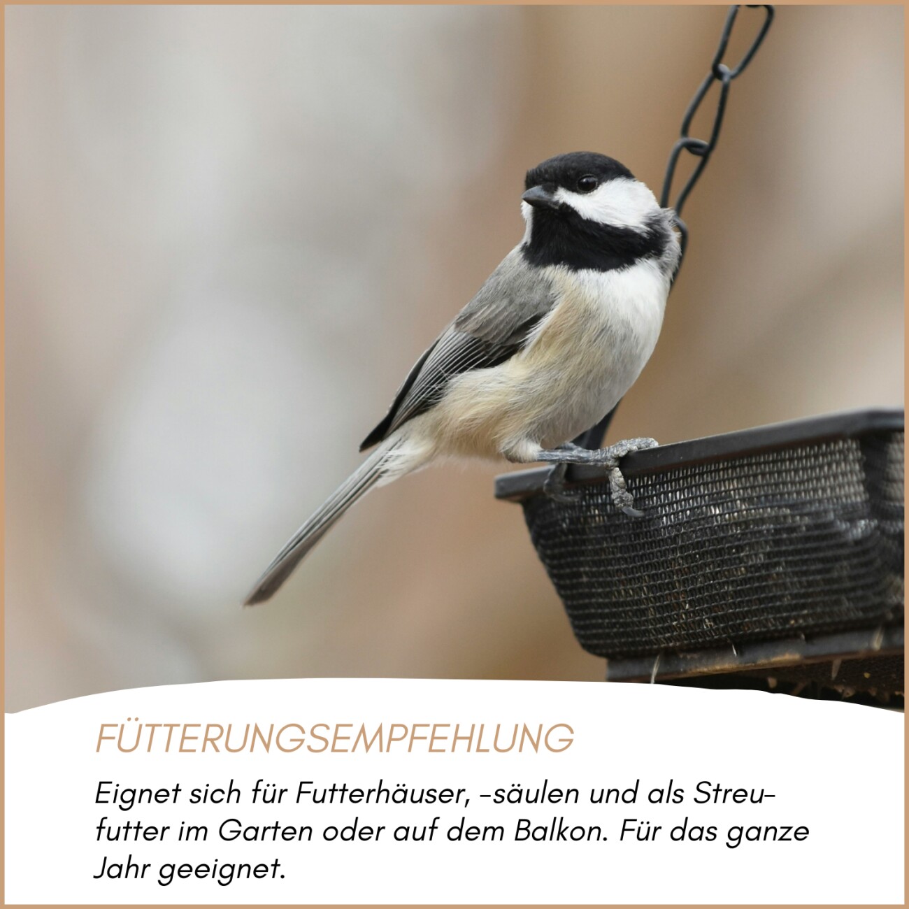 Supravit Hanf Wildvogelfutter 2,5 kg