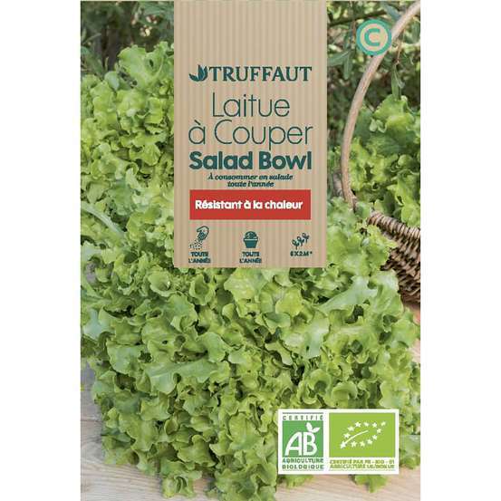 Graines de laitue salad'bowl Bio en sachet