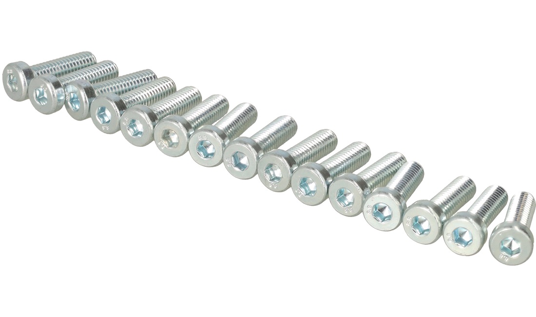 Unbraco bolte 6x20 mm - 15 stk.