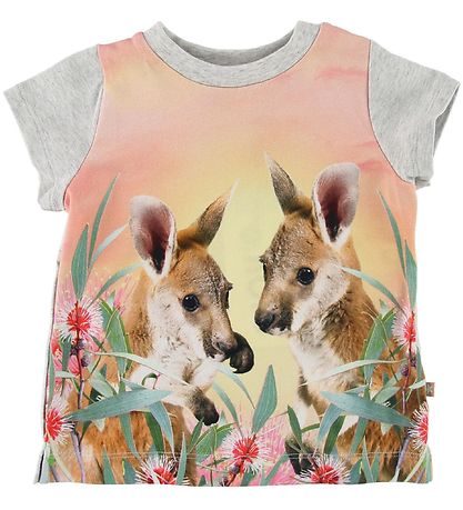 Molo T-Shirt - Elly - Süße Kangaroos