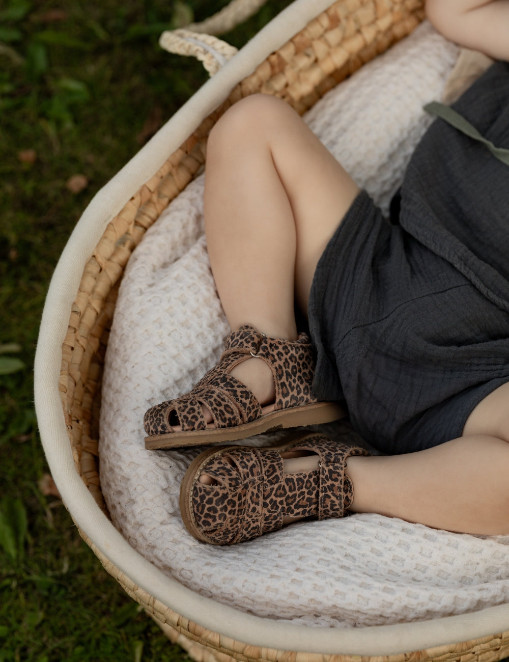 Classic Sandal - Cheetah