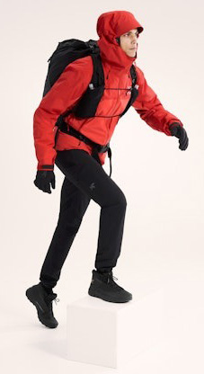 Beta AR Jacket Stormhood Herre Dynasty
