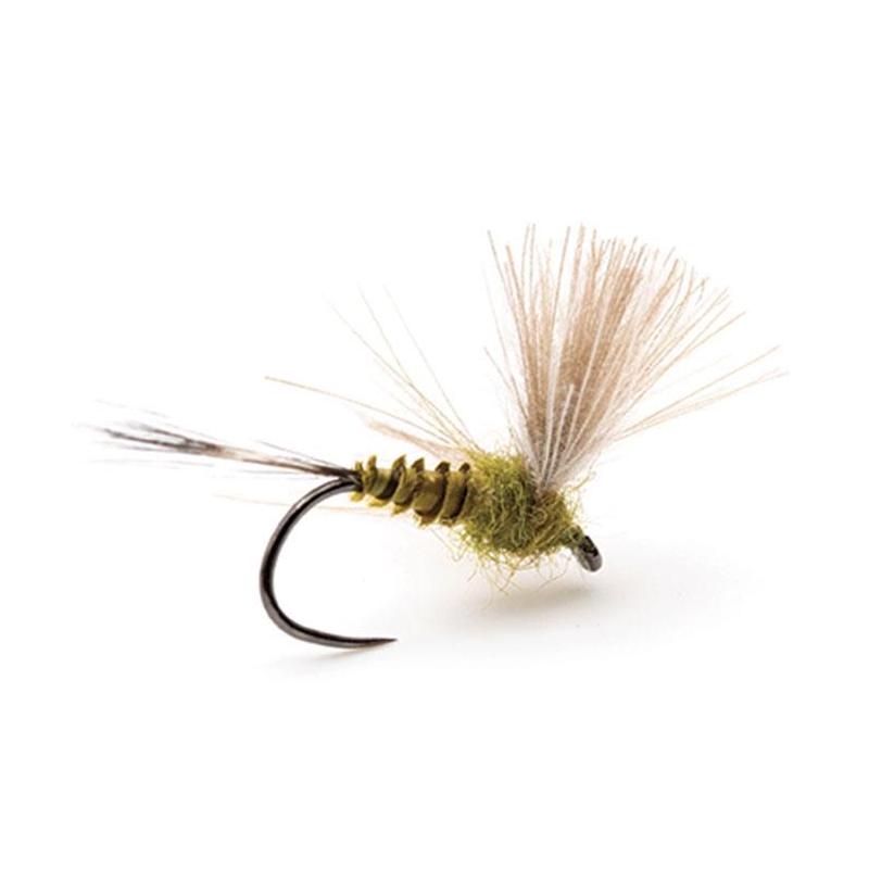 Mouche Devaux Emergente Jbe11