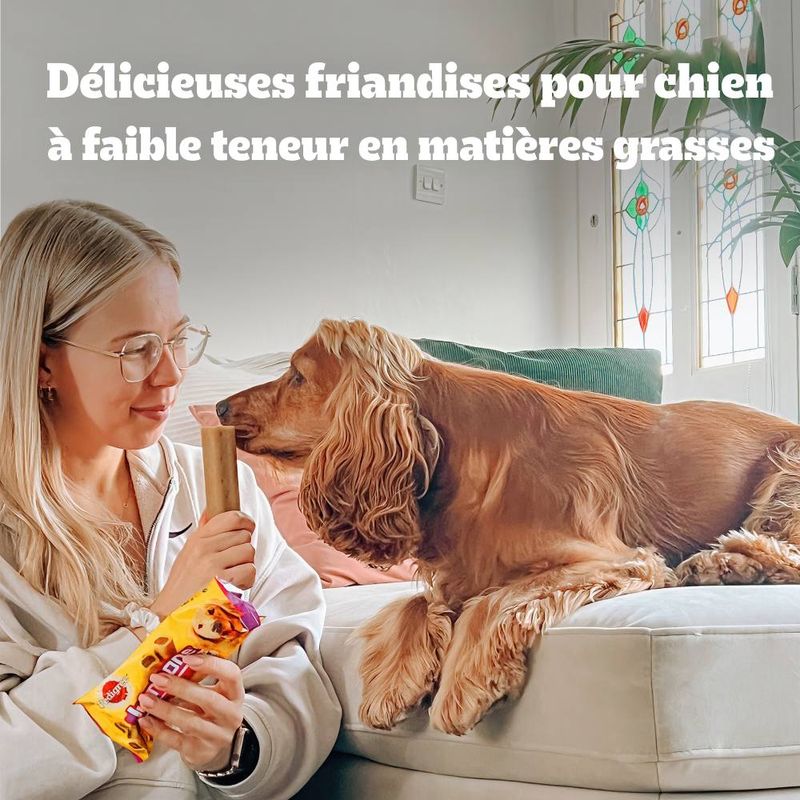 Son Os à mâcher Pedigree Mini