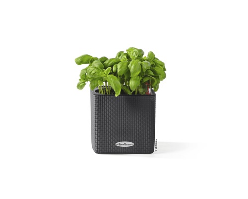 Lechuza Cube Color kunststof bloempot, 16x16x16 cm, grijs, inclusief zelfbewateringssysteem en plantenbak
