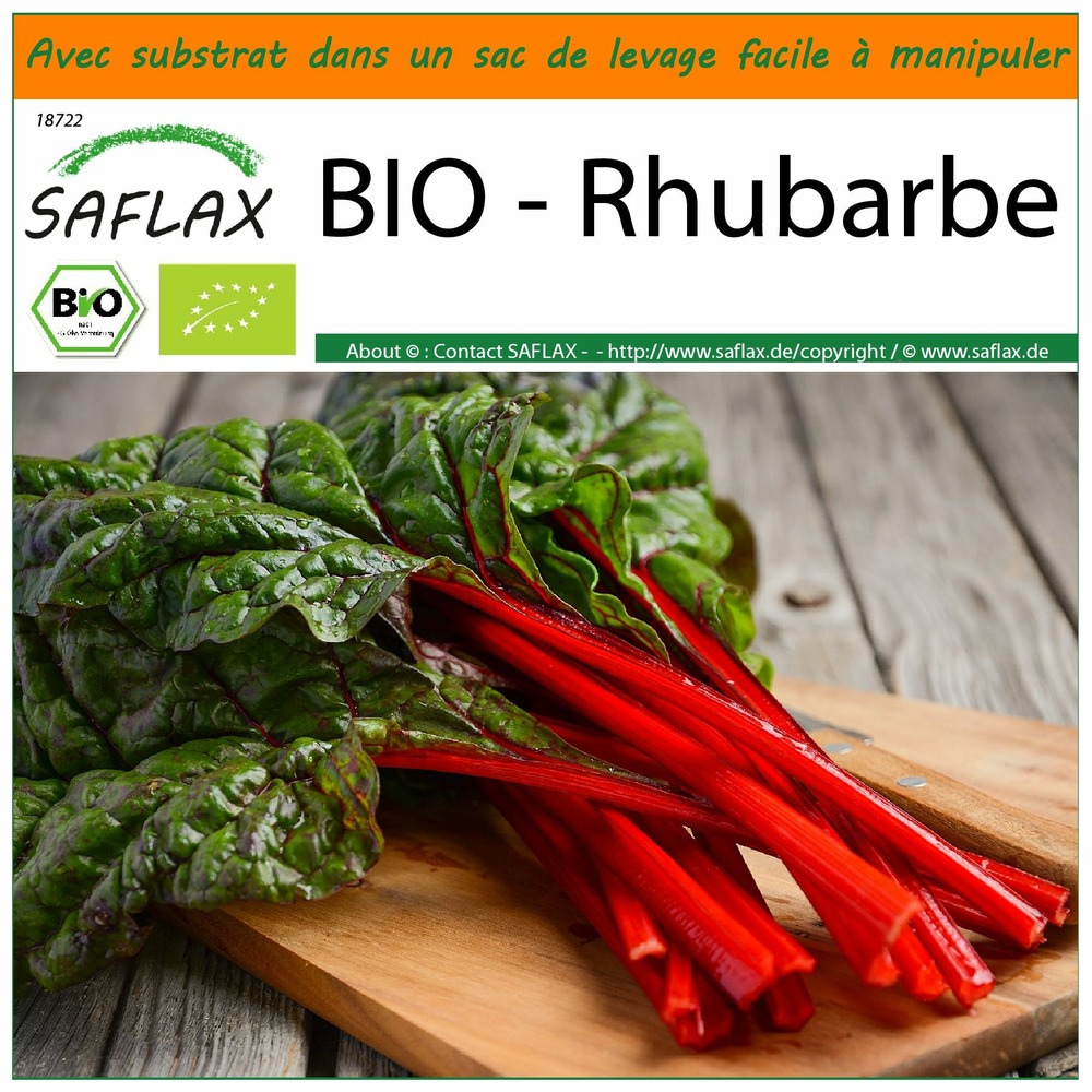 Jardin dans le sac - bio - rhubarbe - 50 graines - beta vulgaris subsp. Vulgaris