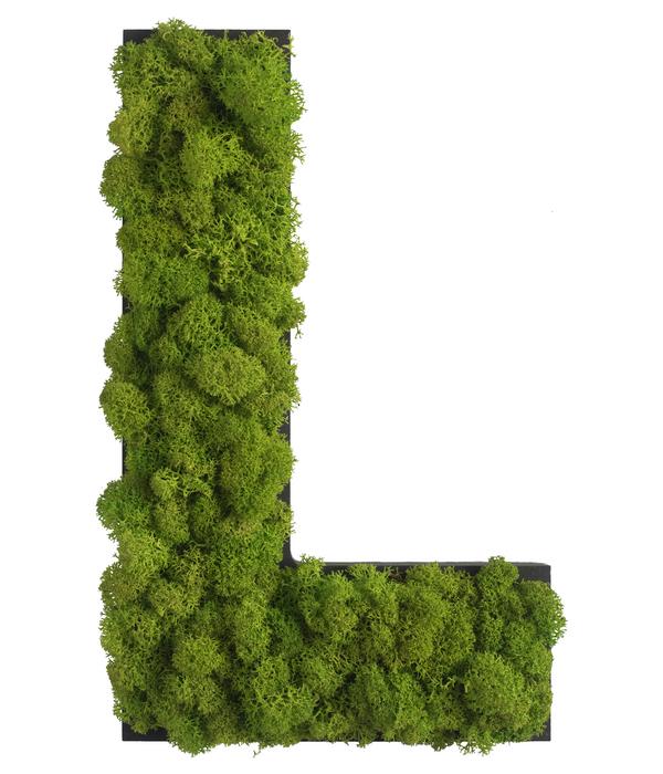 styleGREEN Buchstaben aus Islandmoos, ca. H25