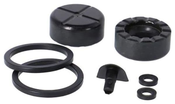 Kit Pistons Sram Red AXS pour Étrier Sram Red AXS D1 (ED-RED-D1)