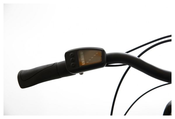Vélo de Ville Électrique Bicyklet Louison Shimano Tourney 6V 400 Wh 700 mm Gris