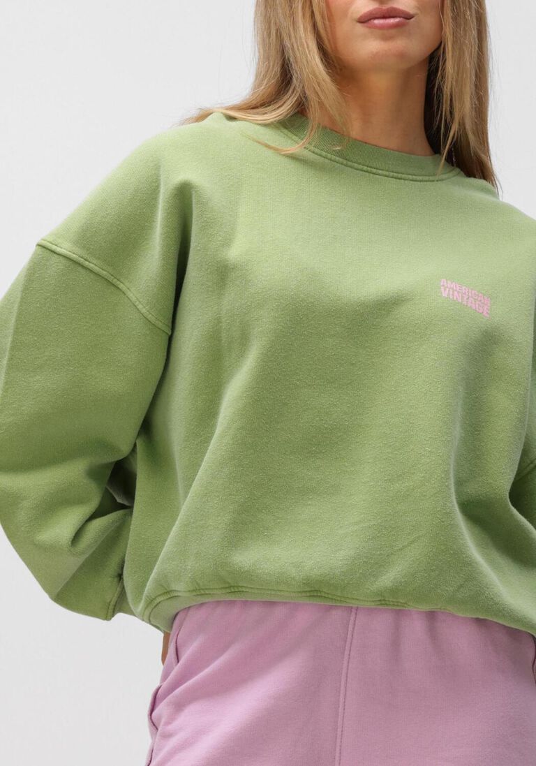 groene american vintage sweater plizzy