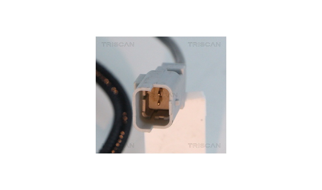 ABS sensor