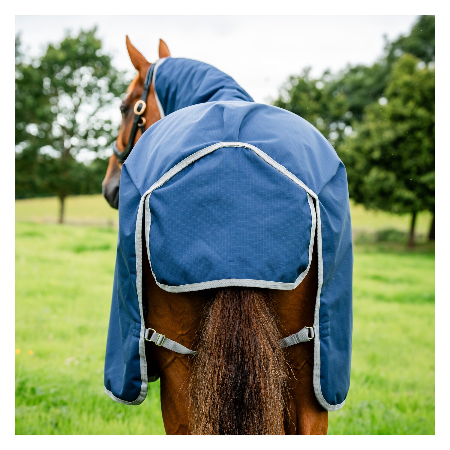 HORSEWARE Weidedecke AMIGO Ripstop 900 Denier, 200 g - navy/titanium grey