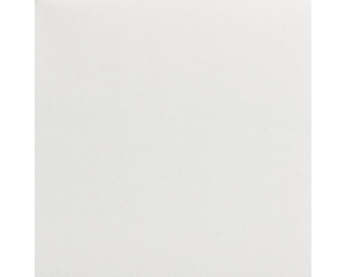 LECO Schildersglasvlies 3565012080 wit gepigmenteerd 195 g/m² 50 m x 1 m