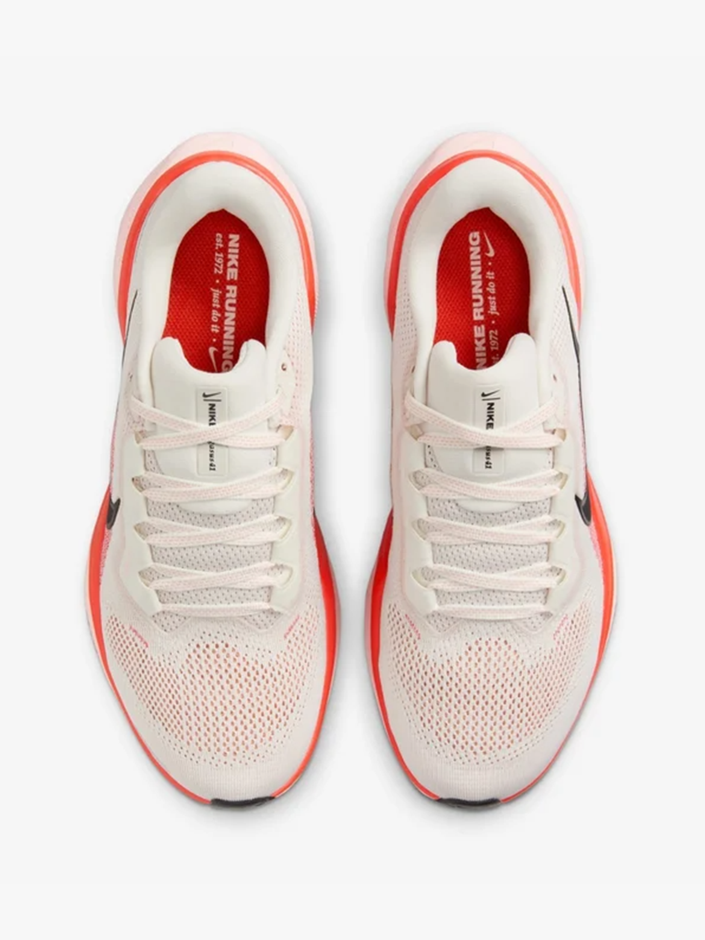 Pegasus 41