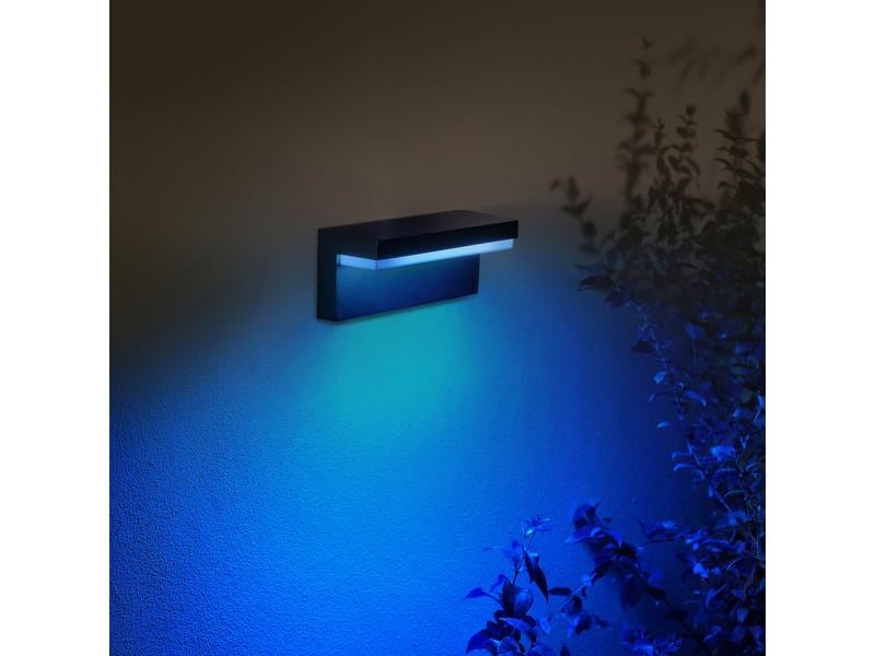 Philips Hue White & Color Ambiance Outdoor Nyro Wandleuchte Aussenleuchte Nyro