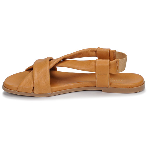 André - BABACO - Camel