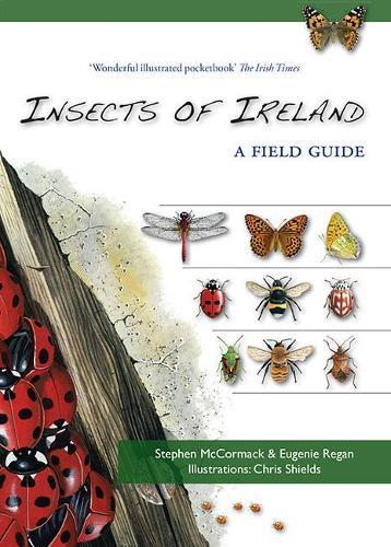 Insects of Ireland (Paperback)