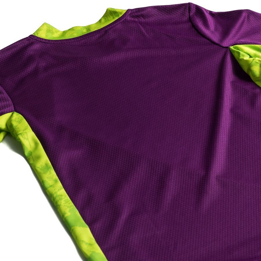 adidas Maillot de Gardien Adipro 20 - Violet/Vert Enfant