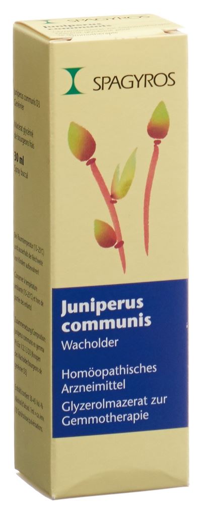 Spagyros Juniperus communis Glyc Maz 1 D Spr 30 ml