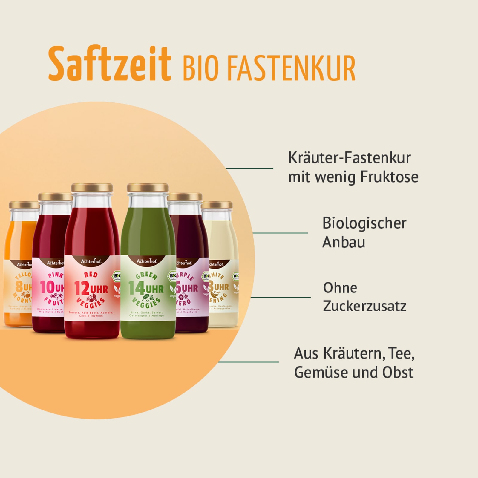 Saftzeit Bio Fastenkur 5 Tage (30 Flaschen)