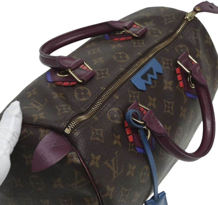 Louis Vuitton Vintage Louis Vuitton Speedy Brown